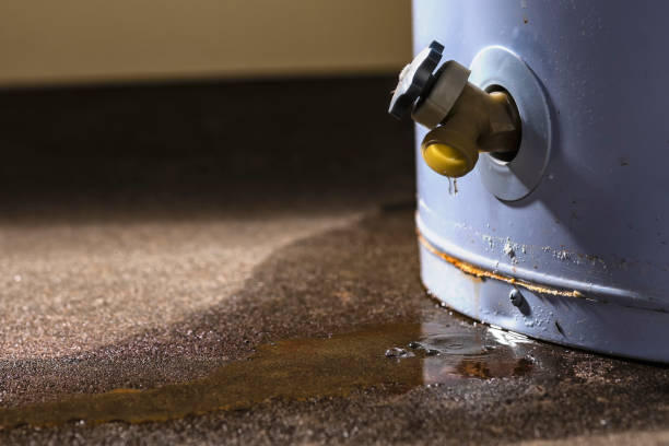 Water damage restoration experts in Norton Shores, MI