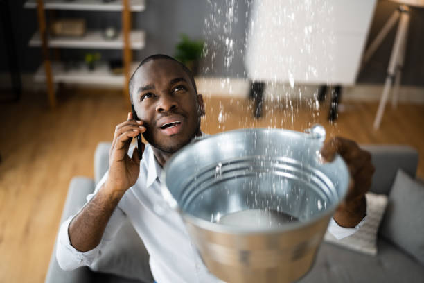 Best Flood damage cleanup  in Norton Shores, MI