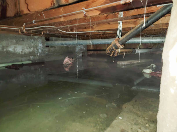 Best Emergency water damage restoration  in Norton Shores, MI
