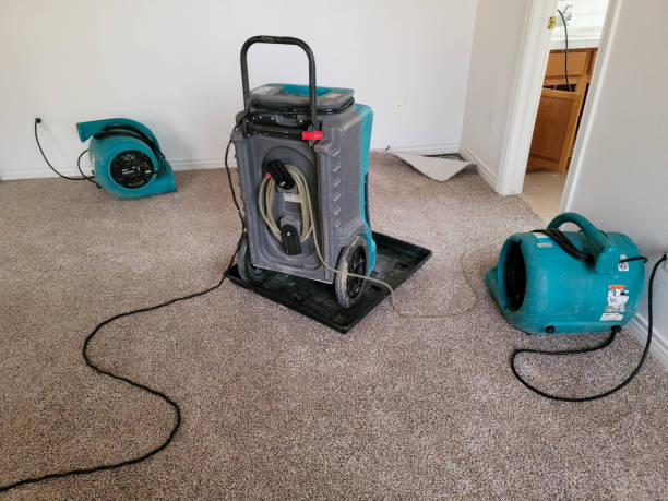 Best 24-hour water damage restoration  in Norton Shores, MI