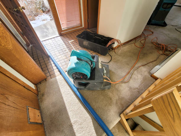 Best Water damage restoration near me  in Norton Shores, MI