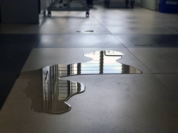 Best Local water damage restoration  in Norton Shores, MI
