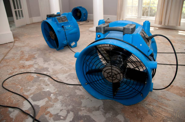 Best Professional water damage repair  in Norton Shores, MI