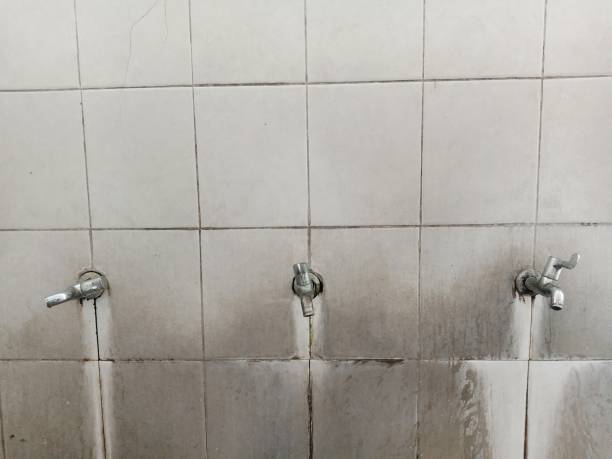 Best 24/7 water damage repair  in Norton Shores, MI