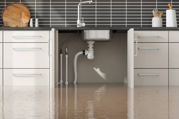 Best Sewage cleanup and water damage restoration  in Norton Shores, MI