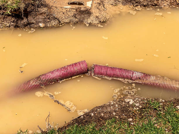 Best Mold removal after water damage  in Norton Shores, MI
