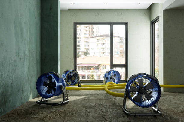 Best Sewage cleanup and water damage restoration  in Norton Shores, MI