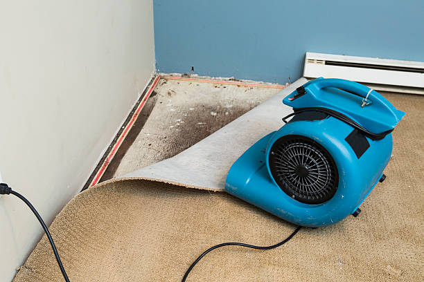 Best Basement water damage restoration  in Norton Shores, MI